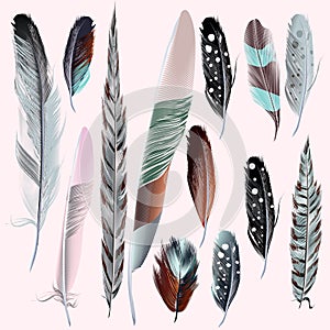 Set vector realistic feathers for design