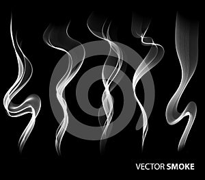 Set of Vector realistic smoke on black background