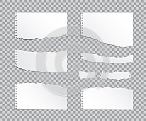 Set of vector realistic torn paper pieces on transparent background.