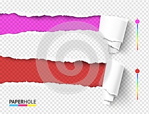Set of empty vector rip edge banner concepts with tear paper curled pieces isolated for scrapbooking or ad. photo