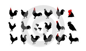 Set of vector rooster silhouettes on the white background. Chinese calendar for the year 2017.