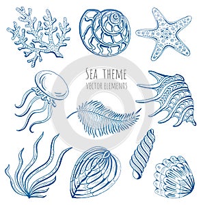 Set of vector seashells, starfish and jellyfish on white background for design. Vector illustration.