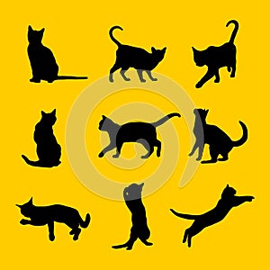 Set vector silhouette of the cat different poses black color isolated on yellow background