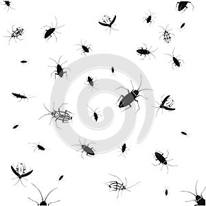 Set of vector silhouettes of different black cockroaches