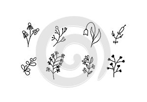 Set of vector sketches and line doodles logo. Hand drawn design elements isolated flowers, leaves, herbs for decoration