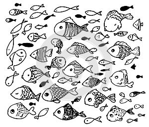 A set of vector stylized fish with rounded heads with black lines of patterns on a white background, swimming in different