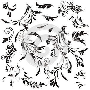 Set of vector swirls for design