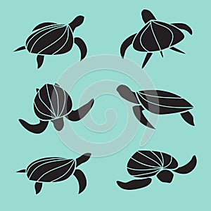 Set of vector turtle isolated on blue background. Animal.