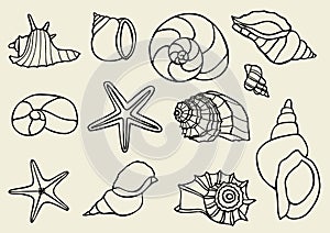 Set of vector vintage seashells
