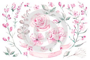 Set vector watercolor elements of roses, leaves. collection garden pink flowers, leaves, branches, plants, Botanic