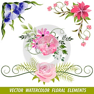 Set of vector watercolor floral elements