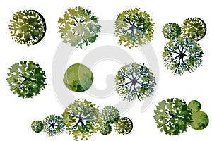 Set of vector watercolor green tree top view isolated on white background photo
