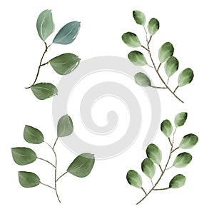 set of vector watercolor illustrations. A set of green leaves, herbs and branches. Elements of floral design. Perfect