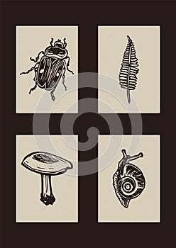 Set of vector woodcut scandi folkart of bug, fern, mushroom and snail and butterfly clipart illustrations in woodland