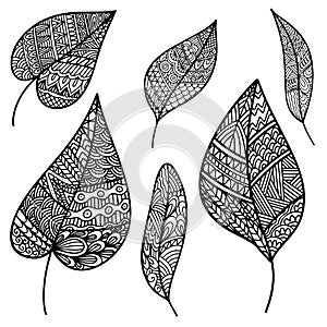 Set of Vector zen tangle and doodle leaf. Anti-stress autumn Nature coloring book. Black and white zentangle leaves