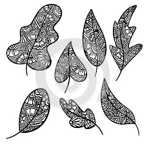 Set of Vector zen tangle and doodle leaf. Anti-stress autumn Nature coloring book. Black and white zentangle leaves