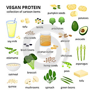 Set of vegan protein sources.