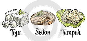 Set Vegan and Vegetarian food. Tofu, Seitan, Tempeh .