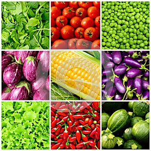 Set of vegetable backgrounds