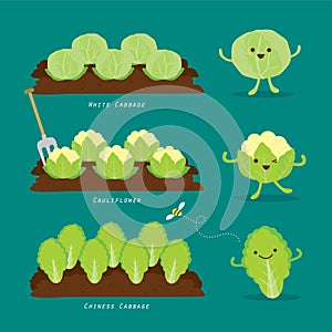 Set of Vegetable garden. Organic and healthy food Cartoon Vector illustration.