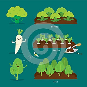 Set of Vegetable garden. Organic and healthy food Cartoon Vector illustration.