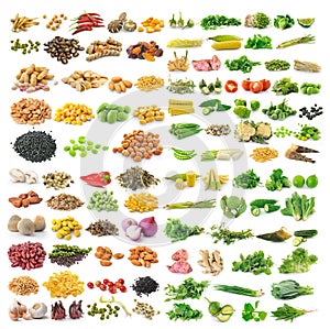 Set of vegetable grains and herbs on white background