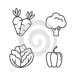 Set of vegetable icon with outline design. Vegetable vector illustration