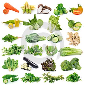 Set of vegetable isolated on white background