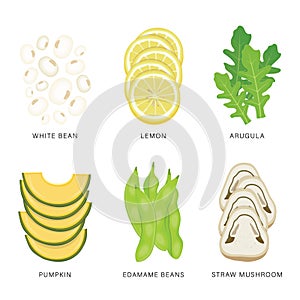 Set of Vegetable Slices. Organic and healthy food isolated element Vector illustration.