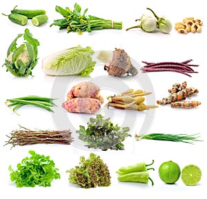 Set of vegetable on white backgruond photo