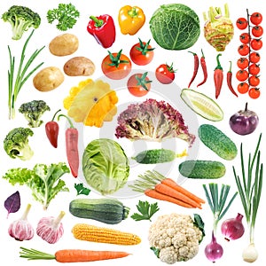 Set of vegetables