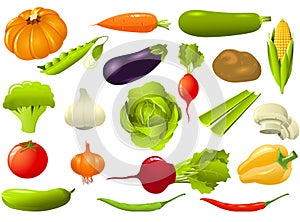 Un conjunto compuesto por verduras 