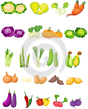 Set of vegetables