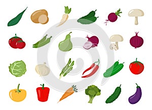 Set of vegetables in cartoon style, flat vector illustration, farm product collection