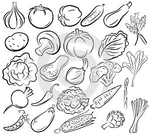 Set of vegetables. Collection of black and white stylized vegetables. Linear art fresh food. Vector illustration of