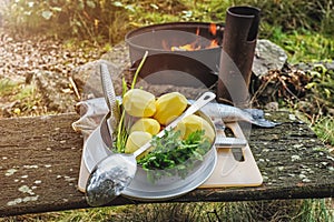 Set of vegetables and fish outdoors in the forest, preparing to cook on the open fire