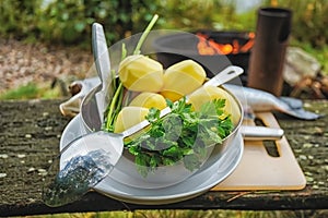 Set of vegetables and fish outdoors in the forest, preparing to cook on the open fire