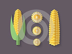 A set of Vegetables in a Flat Style - Ear of Corn