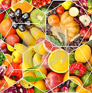 Set of vegetables and fruits. Collage