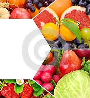 Set of vegetables and fruits. free space for text. Collage