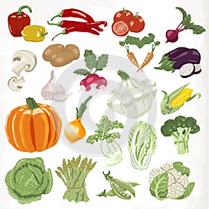 Set of vegetables. Icons isolated on white background