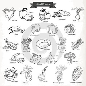 Set of vegetables. Vector hand drawing sketch illustration