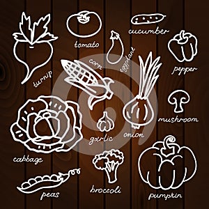 Set of vegetables vector illustration on wood background.