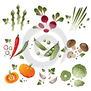 Set of vegetables on white background