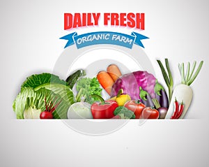 Set of Vegetables white background