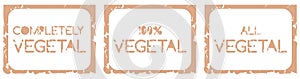 Set of vegetal labels isolated photo