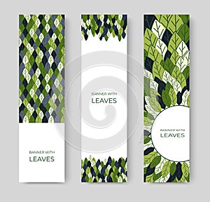 Set of vertical banners for advertising, invitations, internet sites from colorful leaves. Summer background for sales