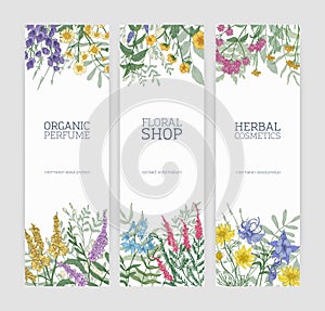 Set of vertical banners decorated with blooming wild flowers, beautiful flowering meadow herbs and place for text on