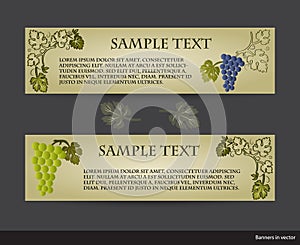 Set of vintage banners with grape vines