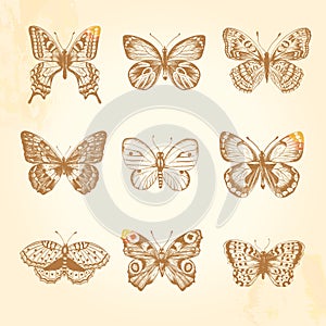 Set of vintage butterflies.